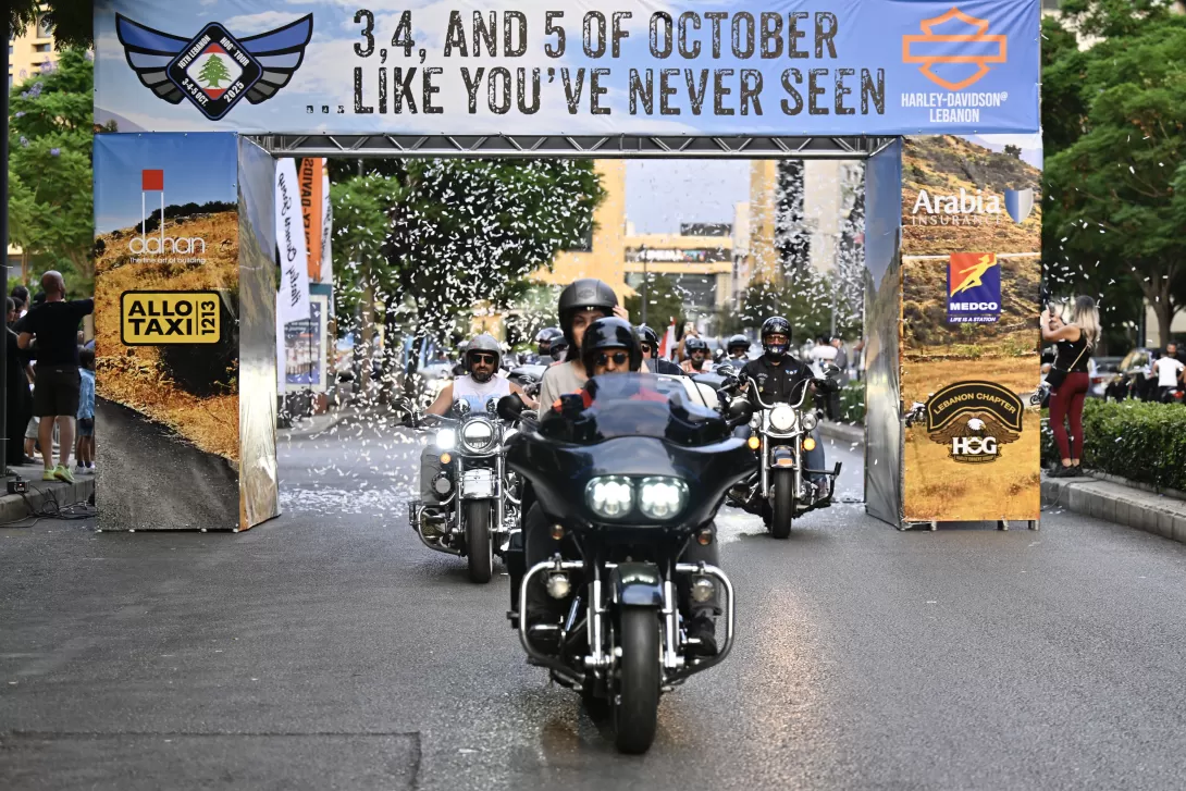 ALLO HOG partnership